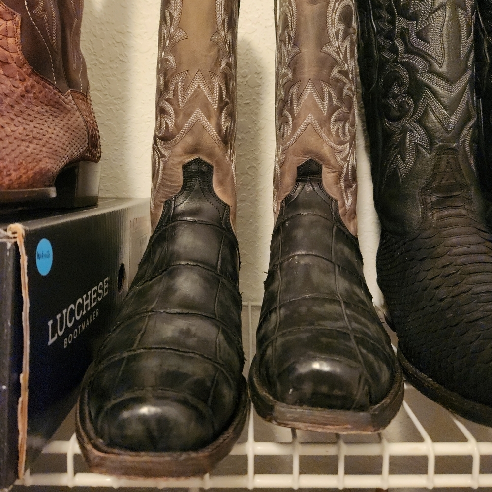 Lucchese alligator